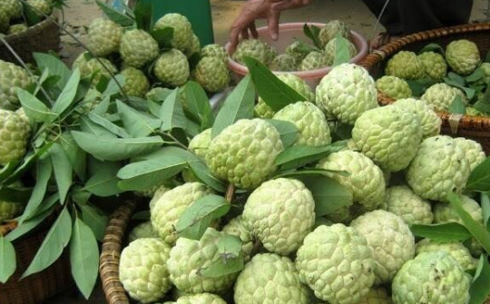 Cần thêm những cách làm hay và sáng tạo
