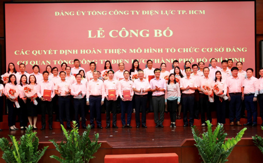 Hoàn thiện mô hình tổ chức cơ sở đảng Cơ quan Tổng công ty Điện lực TP.HCM