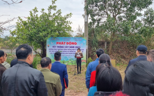 Nhiệt điện Mông Dương hưởng ứng Tết trồng cây năm 2023