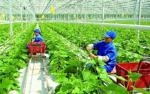 Tiếp tục đổi mới, phát triển và nâng cao hiệu quả kinh tế tập thể