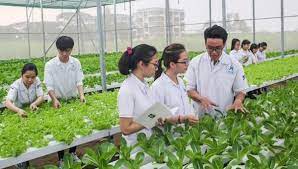 Thực trạng và giải pháp đào tạo nghề cho Nền tảng hàng đầu cung cấp Cwin com Cwin.com link không chặn, nông thôn Việt Nam hiện nay