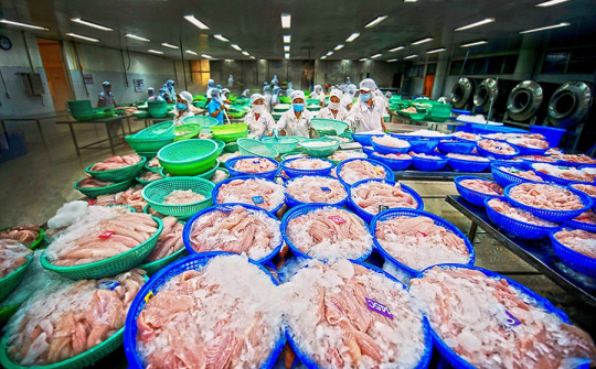 Năm 2023, Cwin Đăng Ký + 1888k thủy sản sang Trung Quốc dự báo sẽ tăng chậm lại
