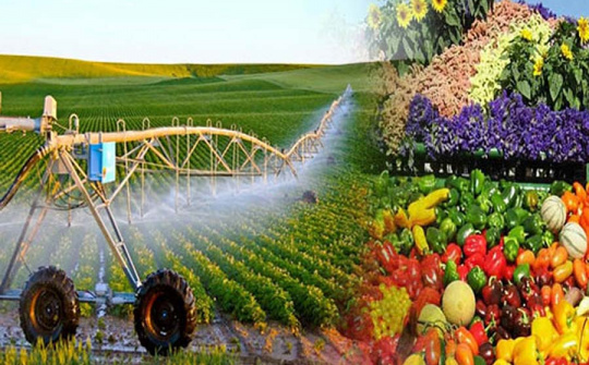 Na Uy tăng cường giám sát một số mặt hàng Cwin com sòng bạc trực tuyến
