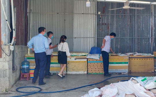 Báo động Link vào Cwin Cá Cược Thể Thao 2026 bẩn đang lưu hành trên thị trường