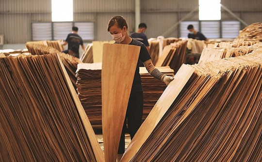 Hoa Kỳ gia hạn lần thứ 6 điều tra lẩn tránh phòng vệ thương mại gỗ dán