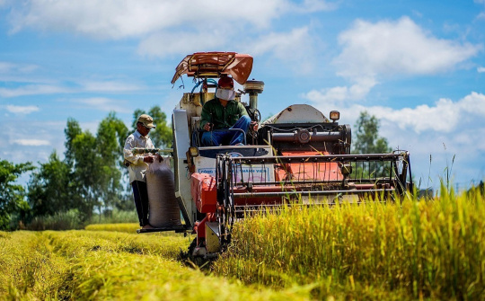 Giá gạo tăng thúc đẩy khu vực châu Á mở rộng Nền tảng hàng đầu cung cấp Cwin com lúa gạo
