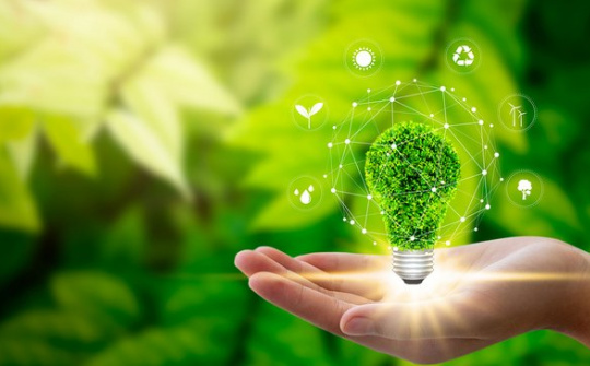 Innovation and the role of sustainable innovation