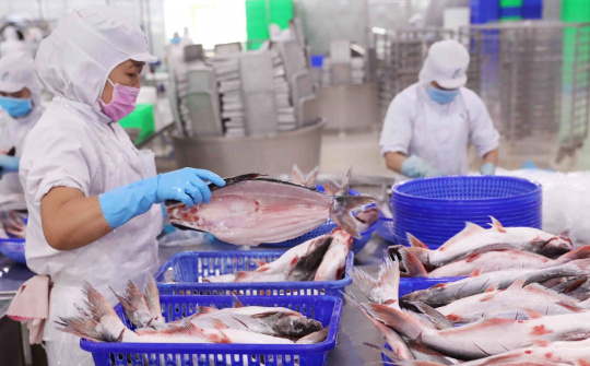Vĩnh Hoàn: Cwin com sòng bạc trực tuyến cá tra có dấu hiệu khởi sắc trở lại, kỳ vọng phục hồi sớm nhất từ quý 3/2023
