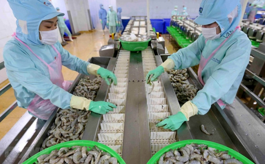Thủy sản Minh Phú sẽ hợp tác với cơ quan nghiên cứu Cwin com đăng nhập Úc xây dựng trung tâm nghiên cứu tôm