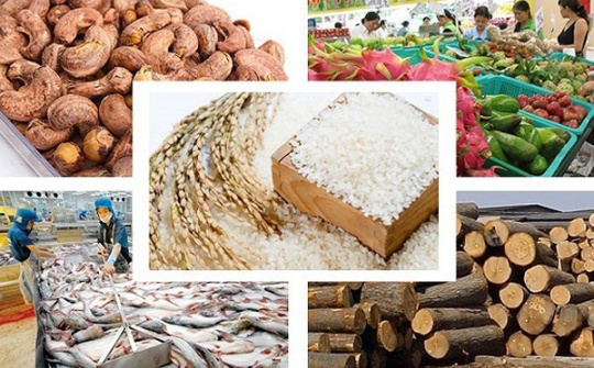 Một số tác động của thực thi Hiệp định Thương mại tự do EU - Việt Nam (EVFTA) đối với nông sản Cwin Đăng Ký + 1888k