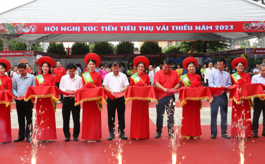 Vải thiều Bắc Giang chính thức lên kệ hệ thống siêu thị Central retail