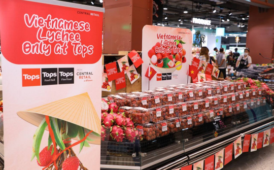 Vải thiều "lên kệ" Central Retail tại Thái Lan với giá 173.000 đồng/kg