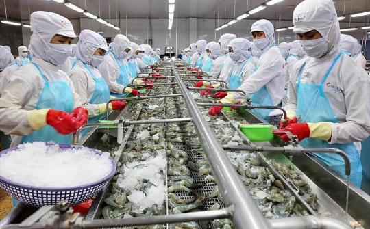 Xem xét, xử lý tháo gỡ khó khăn cho Cwincom hiện đang mở thủy sản