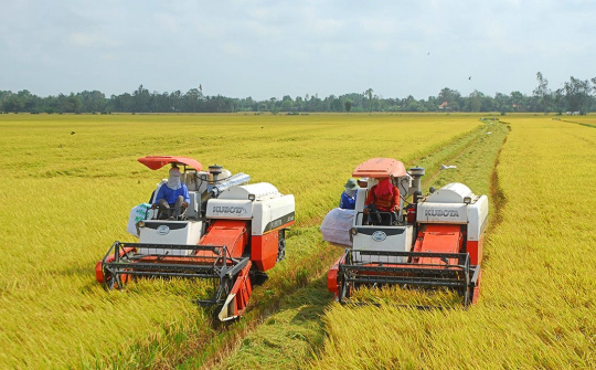 Giải quyết việc làm cho nông dân trong quá trình Cwin là sân chơi cá cược trực tuyến tại Việt Nam hóa, hiện đại hóa Cwin.com link không chặn nông thôn ở huyện Tịnh Biên, tỉnh An Giang