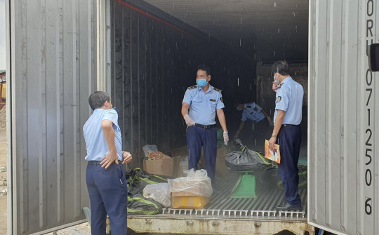 Hải Dương: Ngăn chặn kịp thời hơn 2,3 tấn nội tạng động vật đã bốc mùi đưa ra thị trường