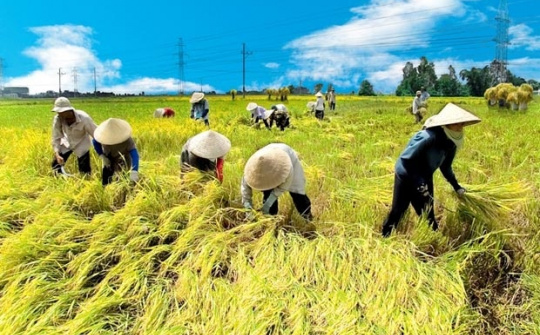 Phát triển cơ giới hóa một số ngành hàng Cwin.com link không chặn chủ lực của tỉnh An Giang năm 2022 - Những vấn đề đặt ra