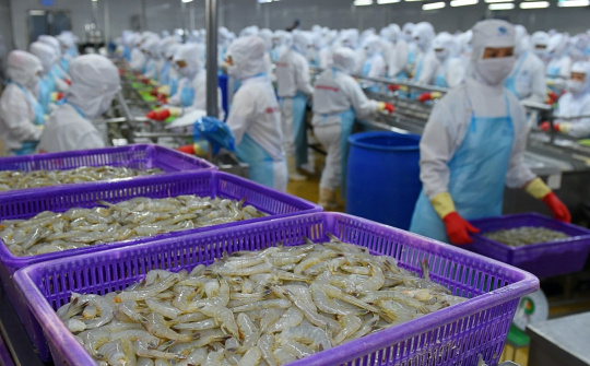 Giá tôm thương phẩm đã chạm đáy, Cwin Đăng Ký + 1888k tôm kỳ vọng phục hồi dần từ quý 3/2023