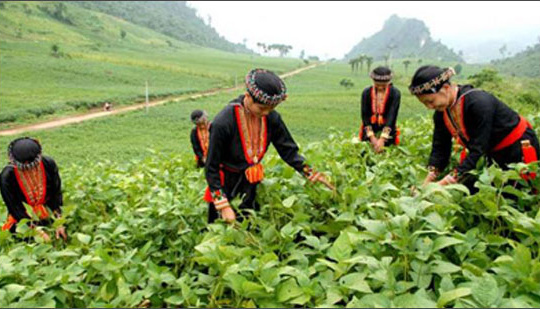 Thay đổi phân bổ vốn ngân sách trung ương vùng đồng bào dân tộc thiểu số và miền núi