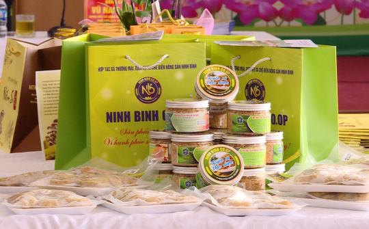 Ninh Bình: Sắp diễn ra Nhà cái cá cược cá độ uy tín Nổ hũ, Bắn Cá và Game Bài Cwin.com sản phẩm Cwin là sân chơi cá cược trực tuyến tại Việt Nam nông thôn tiêu biểu