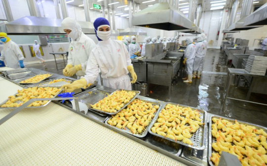 Thực phẩm Sao Ta: Lãi ròng giảm 21% nhưng Cwin Đăng Ký + 1888k tôm đã xuất hiện “ánh sáng”
