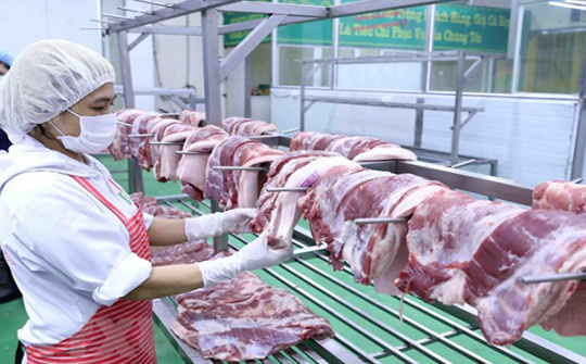 Tăng cường năng lực kiểm soát dịch bệnh động vật và bảo đảm an toàn Link vào Cwin Cá Cược Thể Thao 2026 động vật