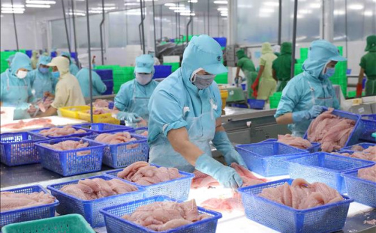 Kết nối thông tin, đa dạng hoá thị trường Cwin Đăng Ký + 1888k