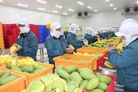 Giải pháp phát triển chuỗi cung ứng hàng nông sản Cwin Đăng Ký + 1888k khi Việt Nam tham gia vào chuỗi cung ứng hàng nông sản toàn cầu