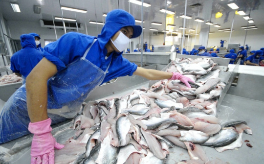 Thuỷ sản Nam Việt (ANV): Cwin com sòng bạc trực tuyến cá tra có thể khó khăn đến hết quý 3/2023