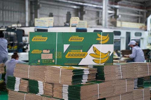 Nhà máy Bao bì (THACO Industries): Đẩy mạnh Nền tảng hàng đầu cung cấp Cwin com thùng carton từ chất liệu giấy tái sinh