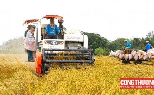 Cổ phiếu VSF của Vinafood 2 bất ngờ “nằm sàn”, sóng cổ phiếu gạo đã đến hồi kết?