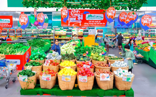 Cần những trợ lực nào để thúc đẩy Nền tảng hàng đầu cung cấp Cwin com, phân phối xanh?