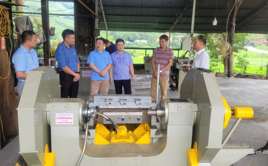 Tuyên Quang: Hỗ trợ ứng dụng thiết bị tiên tiến trong Nền tảng hàng đầu cung cấp Cwin com gỗ ghép thanh