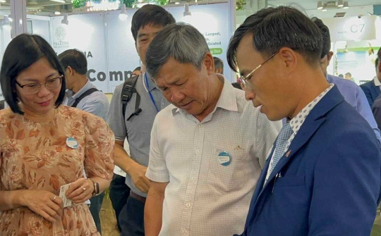 Cơ hội đưa Link vào Cwin Cá Cược Thể Thao 2026 hữu cơ đến gần hơn với thị trường Ấn Độ