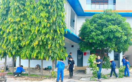 Tuổi trẻ Petrolimex đồng loạt tổ chức "Ngày Chủ nhật xanh" lần thứ IV năm 2023