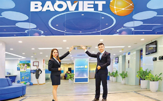 Bảo Hiểm Bảo Việt tạm ứng hàng chục tỷ đồng bồi thường cho  khách hàng bị thiệt hại bởi bão Yagi
