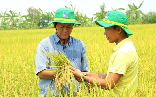 Đạm Cà Mau (DCM), Đạm Phú Mỹ (DPM) đặt kỳ vọng vào vụ Đông Xuân và Luật Thuế VAT