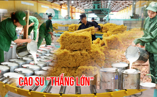 Giá cao su "lên đỉnh" 13 năm, Cao su Phước Hoà (PHR), Cao su Đồng Phú (DPR) “thắng lớn”