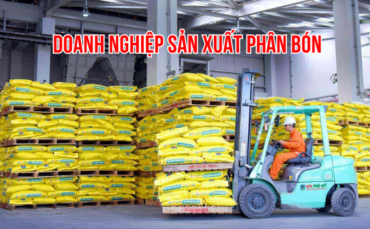 Đạm Cà Mau (DCM), Đạm Phú Mỹ (DPM) đặt kỳ vọng vào vụ Đông Xuân và Luật Thuế VAT