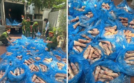 Hà Nội: Tiêu hủy hơn 1,6 tấn chân giò lợn Cwin là sân chơi cá cược trực tuyến tại Việt Nam