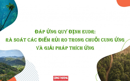 [Emagazine] Đáp ứng quy định EUDR: Rà soát các điểm rủi ro trong chuỗi cung ứng và giải pháp thích ứng