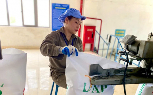 Đưa phân bón sang đối tượng chịu thuế GTGT: Bài 1- Cwin800 tỷ lệ kèo World Cup 2026 phân bón giảm sức cạnh tranh do áp lực từ Luật thuế 71