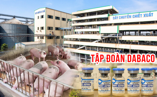 Tập đoàn Dabaco (DBC): Sẽ nâng đàn heo thịt lên mức 1,5 triệu con, nhiều đối tác quan tâm vacci ASF