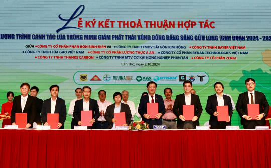 Công ty CP Phân bón Bình Điền: Nâng cao hiệu quả sử dụng phân bón trong canh tác lúa