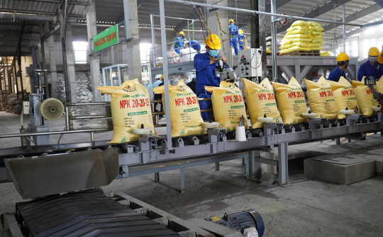 Vì sao việc áp thuế giá trị gia tăng 5% đối với phân bón nhận được sự đồng thuận lớn?