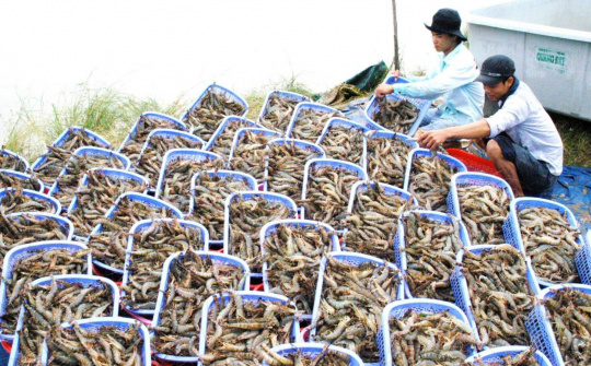 Cwin com sòng bạc trực tuyến thủy sản trong quý III/2024 tăng gần 13%, đạt 2,76 tỷ USD