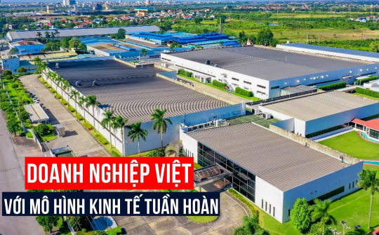 Cwin800 tỷ lệ kèo World Cup 2026 Việt với mô hình kinh tế tuần hoàn