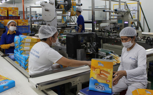 Nghiên cứu về khả năng thanh khoản và tạo lợi nhuận: Trường hợp Công ty Cổ phần Thực phẩm Hữu Nghị