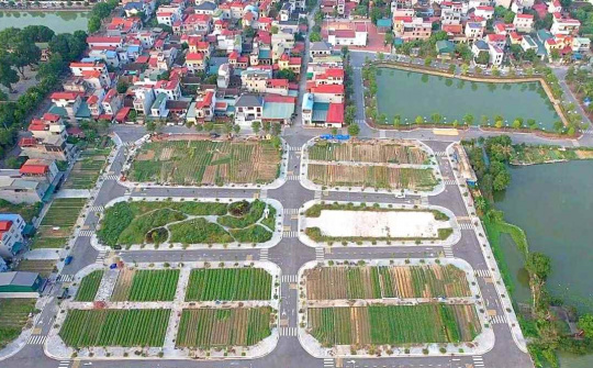 Lấn đất hoặc chiếm đất sẽ bị phạt tới 1 tỷ đồng