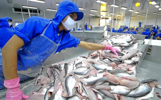Thị trường Mỹ bứt phá, lãi ròng năm nay của Thuỷ sản Vĩnh Hoàn (VHC) có thể tăng 30%