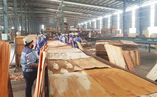 Tiếp tục tạm ngừng chuyển khẩu, tạm nhập gỗ dán vào Việt Nam để tái xuất sang Hoa Kỳ